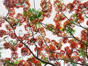 办公室大战《Office Fight》上市日期公布 已推出试玩版